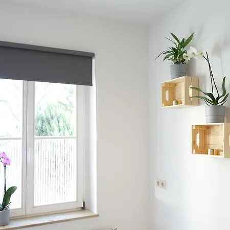 Appartement Cosy With Kitchen&netflix In Neustadt Dresde