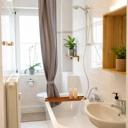 Appartement Cosy With Kitchen&netflix In Neustadt Dresden