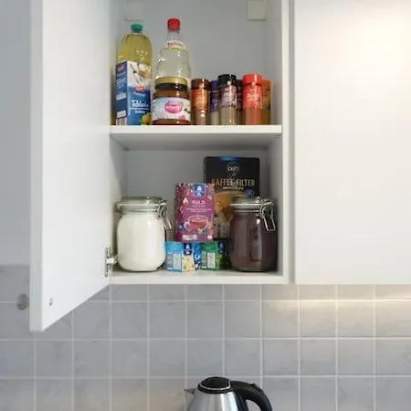 Cosy With Kitchen&netflix In Neustadt