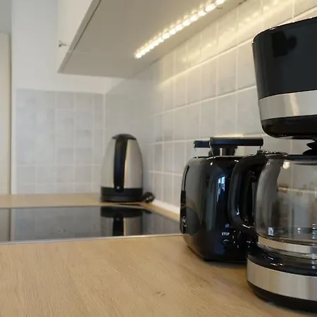 Apartment Cosy With Kitchen&netflix In Neustadt